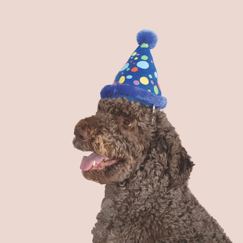 5pc Dog Party Plush Set